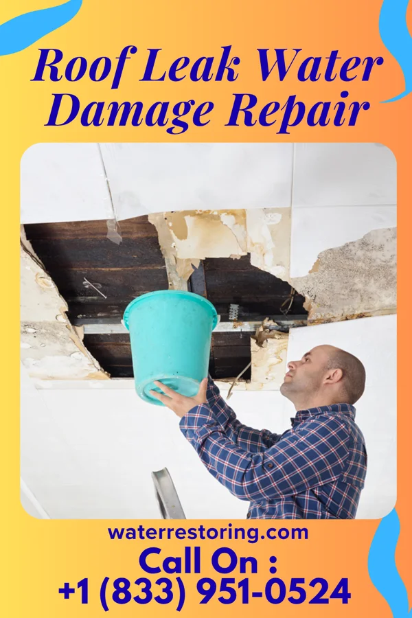 Roof Leak Water Damage Repair in Dwight Mission, OK