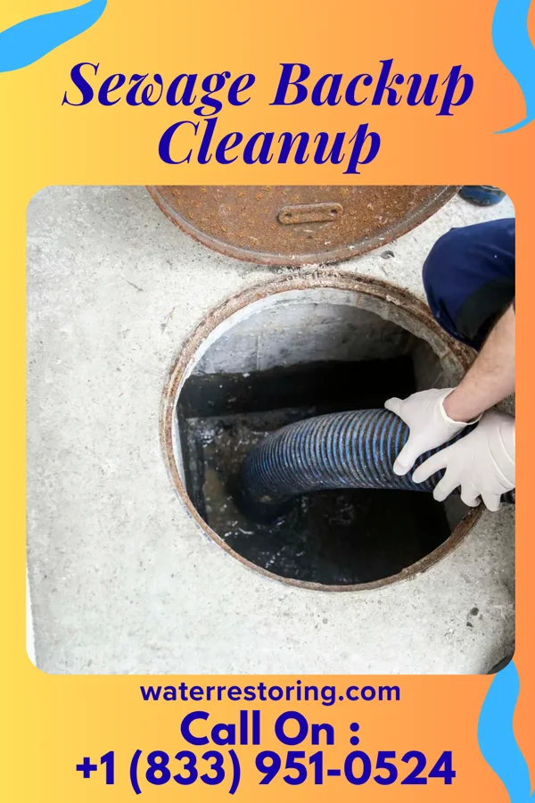 Sewage Backup Cleanup in Dwight Mission, OK