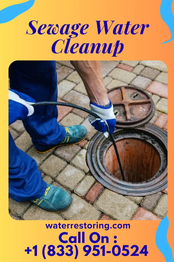 Sewage Water Cleanup in Dwight Mission, OK