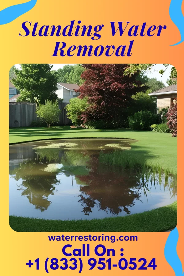 Standing Water Removal in Dwight Mission, OK